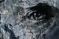Free Peeling Paint Stock Photography - 5677812