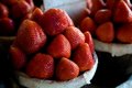 Free Plump Vibrant Strawberries Royalty Free Stock Photos - 5677888