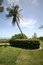 Free Grassy Ocean View Royalty Free Stock Photos - 5672798