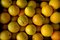 Free Stacked Juicy Oranges Stock Photography - 5677872
