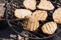 Free Barbecue Stock Photos - 5682183