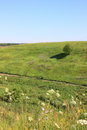 Free Ravine In Ryazan Stock Images - 5691564