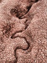 Free Arid Ground Royalty Free Stock Photography - 5692207