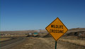 Free Wildlife Crossing Street Sign Stock Image - 5699371