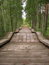 Free Stairs To Lake Royalty Free Stock Photography - 5691287