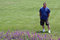 Free Man Green Lawn, Purple Flowers Stock Photography - 5697422
