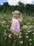 Free Little Girl And Camomiles Stock Photography - 5698052