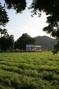 Free Rural Farm House Royalty Free Stock Photography - 573117