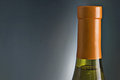 Free Wine Bottle With Copy Space Stock Images - 5706274