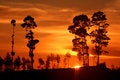 Free January Sunrise Stock Photos - 5707173