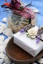 Free Soap Dish Stock Image - 5716551