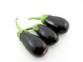Free Eggplants Stock Photos - 5717433