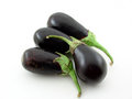 Free Eggplants Stock Photos - 5717453
