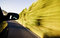 Free High Speed Stock Photos - 5713133