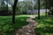 Free Stone Road Royalty Free Stock Photography - 5716777