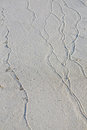 Free Sand Veins Royalty Free Stock Image - 5725906