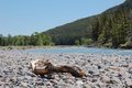 Free Riverbank And Forests Royalty Free Stock Photo - 5729025