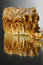 Free Honey Honeycombs Stock Photos - 5729503
