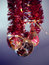 Free Christmas Ornament Stock Photos - 5733823