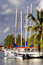 Free Waiting Boats & Morning Marine. Royalty Free Stock Photo - 5738145