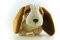 Free Sad Brown Puppy Stock Photo - 5738950
