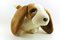 Free Nobel Brown Puppy Royalty Free Stock Photography - 5738967