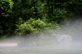 Free Wild Nature Royalty Free Stock Photo - 5740295