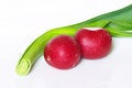 Free Scallion And Radish Stock Images - 5746074