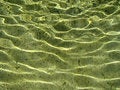 Free Water Effect Royalty Free Stock Photo - 5750035