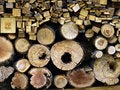 Free Logs Cut Stock Photo - 5759800