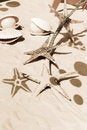 Free Marine Life Royalty Free Stock Image - 5759986