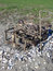 Free House Of Sticks Driftwood Stock Images - 5752104