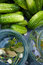 Free Cucumbers Royalty Free Stock Photography - 5759297