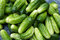 Free Cucumbers Stock Photo - 5759460