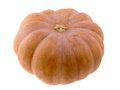 Free Pumpkin Stock Photography - 5761142
