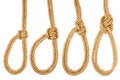 Free Loops Stock Images - 5765864