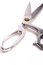 Free Scissors On White Stock Images - 5769604