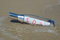 Free Message In A Bottle With SOS Signal Lying In Surf Royalty Free Stock Image - 5769976