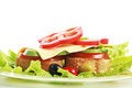 Free Fatty Royalty Free Stock Photo - 5770315