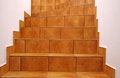 Free Floor Tile Stairs Royalty Free Stock Photos - 5771548