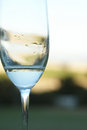 Free Almost Empy Glass Of Wine Royalty Free Stock Photo - 5778315