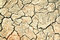Free Dry Cracked Land Stock Photo - 5770800