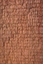 Free Rough Wooden Surface (planking) Royalty Free Stock Photo - 5782405
