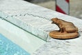 Free Frog Spitting Water Into Fountain Stock Images - 5795054