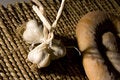 Free Garlic On Wood Isloated Royalty Free Stock Photography - 5795297