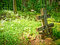 Free At The Cemetery Stock Images - 5793644