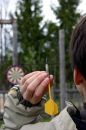 Free Darts Stock Image - 586821