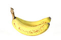 Free Bananas Isolated On White Royalty Free Stock Photo - 587785