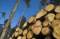 Free Storm Damage Stock Photography - 585272