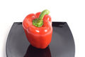Free Red Peper Stock Photos - 5806973